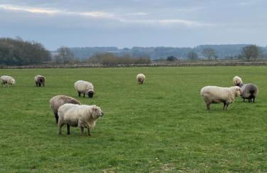 Dove Cottage - Foto 45