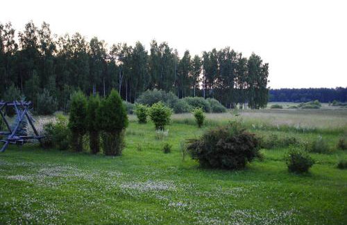 Zielony Gaj - Photo 43