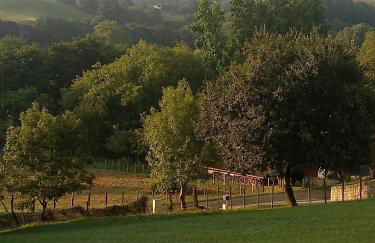 B4 Vue Montagnes Piscine - Foto 9