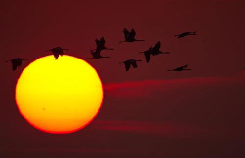 Ferienhaus Tura - Foto 39