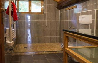 Appartement dans chalet aux saisies-100m des pistes-cœur station 13 pers - Foto 22