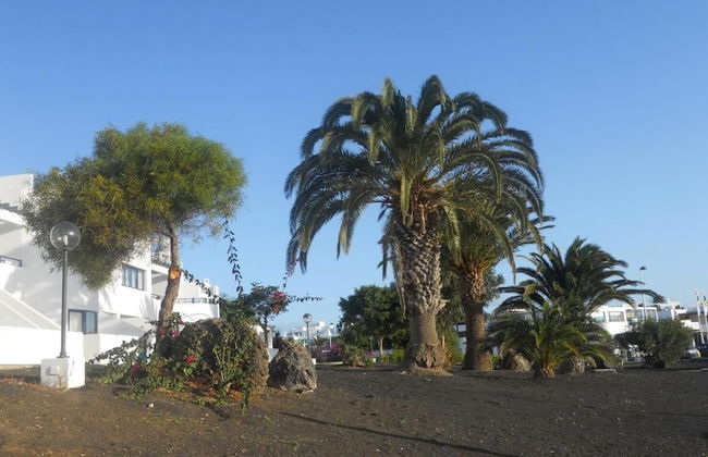 Apartamentos Club Pocillos - Foto 11