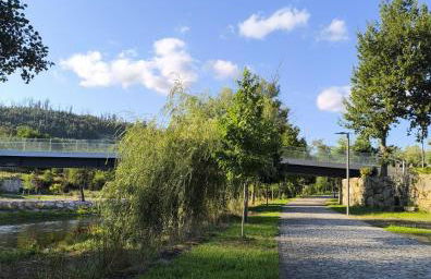 Aromas do Vouga - Foto 15