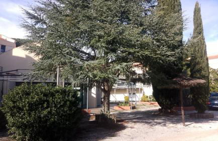 ANTIQUA ROMA - via temporis CXII - Foto 11