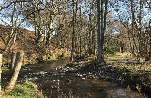 Grandeagles Extra large lodge - Foto 21