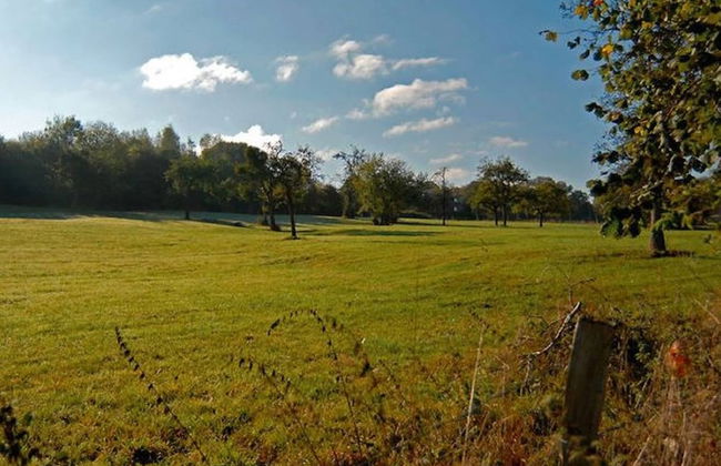 Holiday Home in Verviers With Sauna & Fireplace - Foto 22