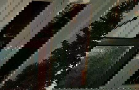 House of Artists-aquilotto - Photo 19