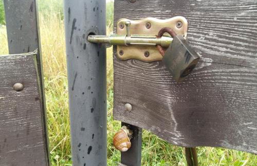 Uroczysko Deresze - Foto 79