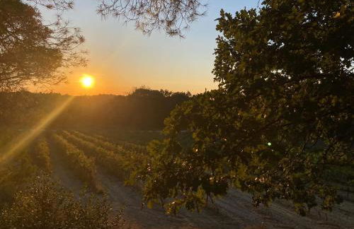 Tiny-House Grand Confort - Salle de bain italienne - Lit King - 10 min A7 - Foto 7