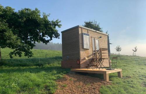 Garnecker Galloways - Foto 19