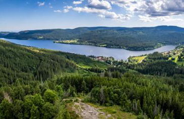 Ferienwohnung Seeblick Nr 5, 2 Zi-Bärental, Feldberg - Foto 11