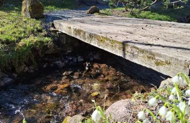 Apartamenty Kudowski Potok - Foto 22