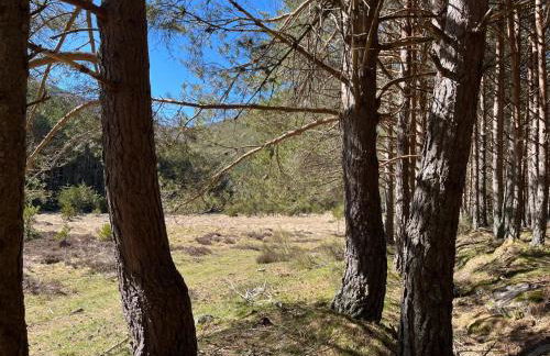 Alojamiento esqui montaña Cofiñal - Foto 19