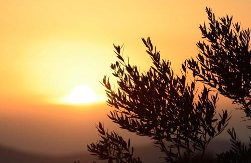 Agriturismo La Casuccia - Foto 75