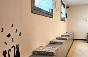 AK Homes, a due passi da Orio - Foto 18