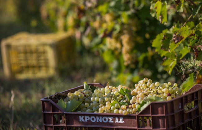 Aneli Villas - Villa Semeli - Foto 53