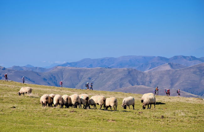 VVF Résidence Pays Basque Saint-Jean-Pied-de-Port - Foto 59