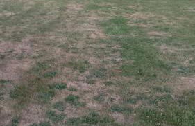 Maison Normande - Le Mesnil en Ouche - Foto 20