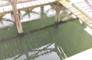 Wherry Green Guest House (PRAIA DA BARRA)❤️ - Foto 48