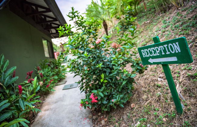 Tiki Villas Rainforest Lodge & Spa - Foto 66