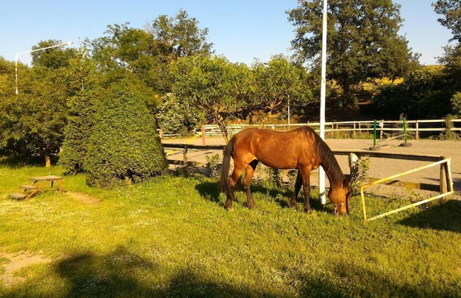 Agriturismo San Filippo - Foto 32