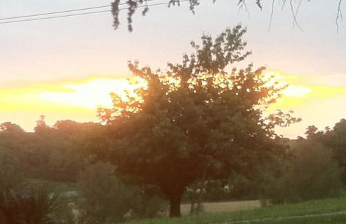 Domaine de Massoulac - Foto 28