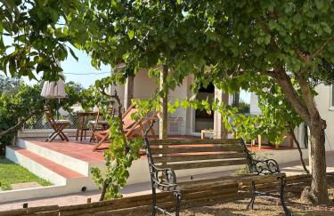 Lezíria Houses - Ribatejo - Foto 50