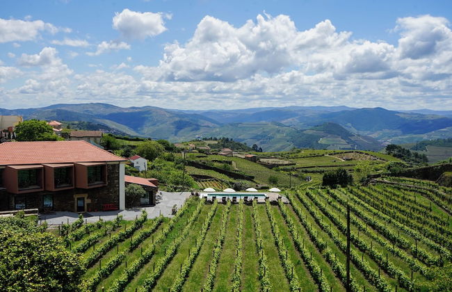 Casa do Santo - Wine & Tourism - Foto 54