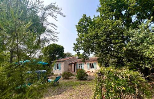 La maison aux oiseaux - Luberon - Foto 16