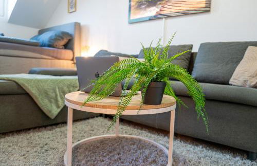 223 Gemütliche Dachgeschosswhg im Herzen Neuss - Foto 10