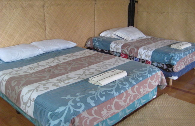 Tzikin Jaay - Foto 2