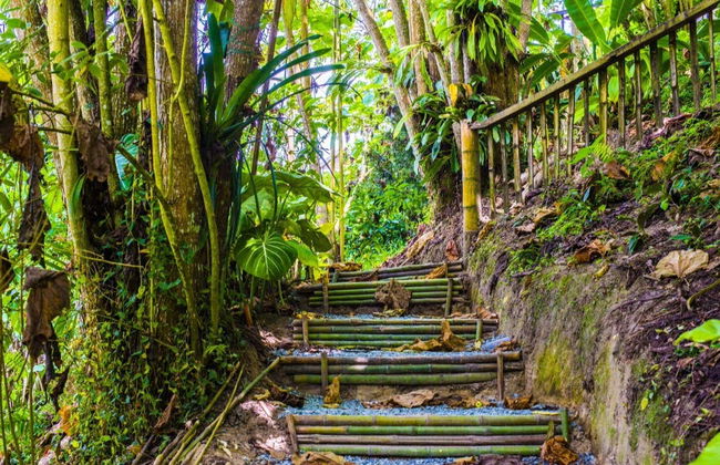 Orchids Half Day Tour - Foto 2