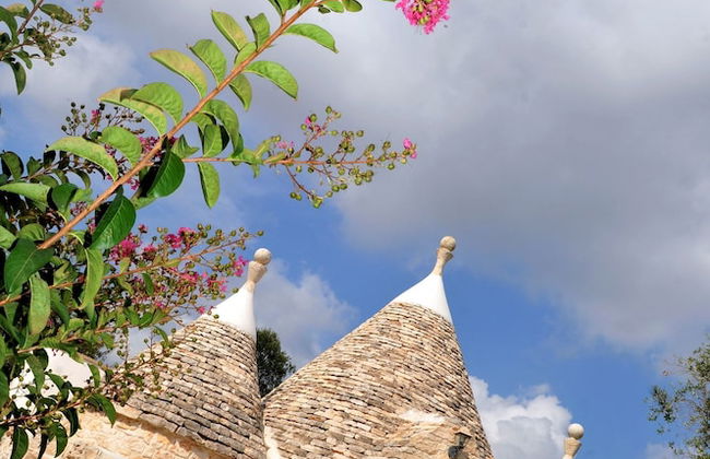 Trulli Stella in Ceglie Messapica - Foto 13