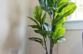 Tummel Place - Foto 19