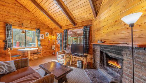 Forest Cabin 1 Hunters Blind - Foto 5