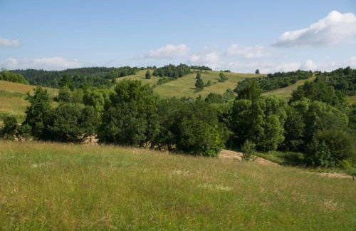 Anielskie Wzgórze Domek z Widokiem & Kuźnia Skarbów - Foto 31