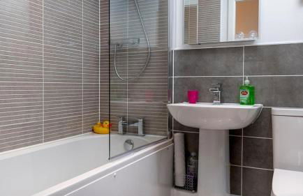 Seahorses - Photo 19