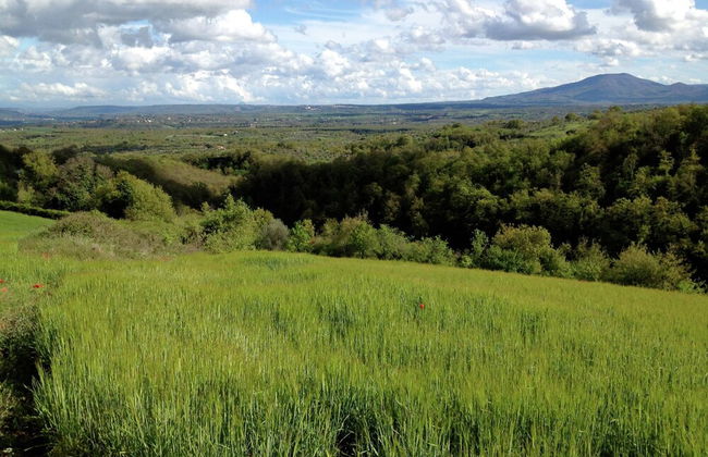 Belvilla by OYO Villa Graffi - Foto 25