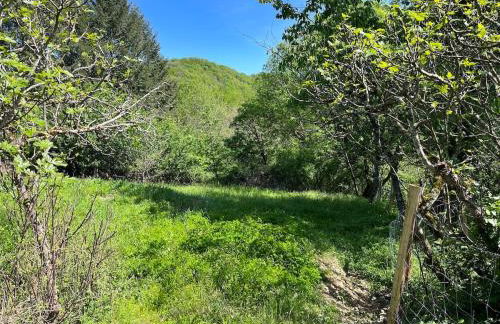 La rive du Viaur - Foto 21