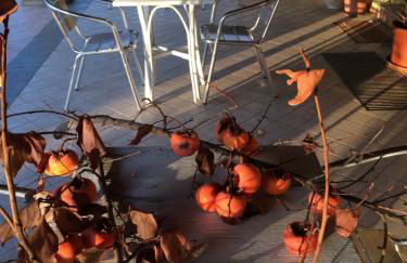 Agriturismo 7 Colonne - Foto 70