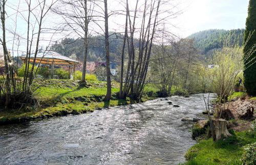 Ferienwohnung Kinzigblick - Balkon - Für Kinder - mit Bettwäsche & Handtücher - Foto 20
