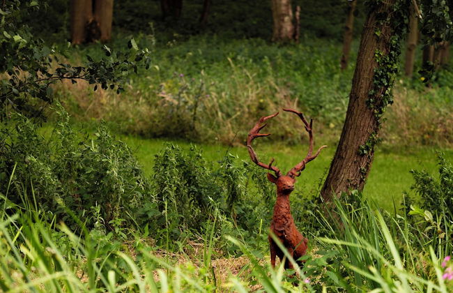 North Norfolk Glamping - Foto 29
