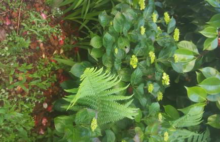 L'annexe de l'Hôtel de l'Europe - Foto 23