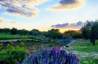 Trulli Pax Animi - Foto 71