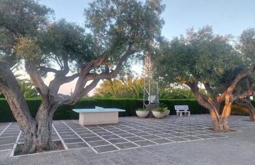 Gran Vista - playa y piscina - Photo 44