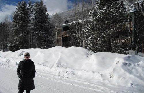 Heart of Frisco Condo - Foto 23