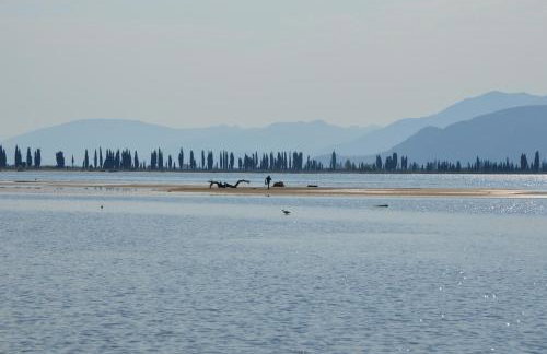 Apartmani Portina - Foto 41