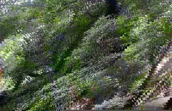 Finca El Tambor - Foto 55