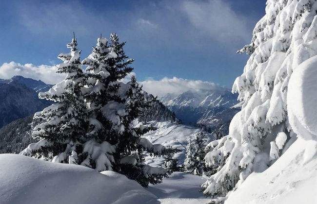 Amici 1. OG West - Foto 26