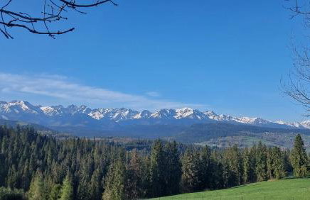 Panoramiczny Wierch - Foto 15
